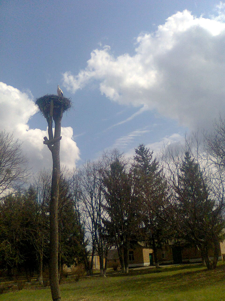 Миропілля